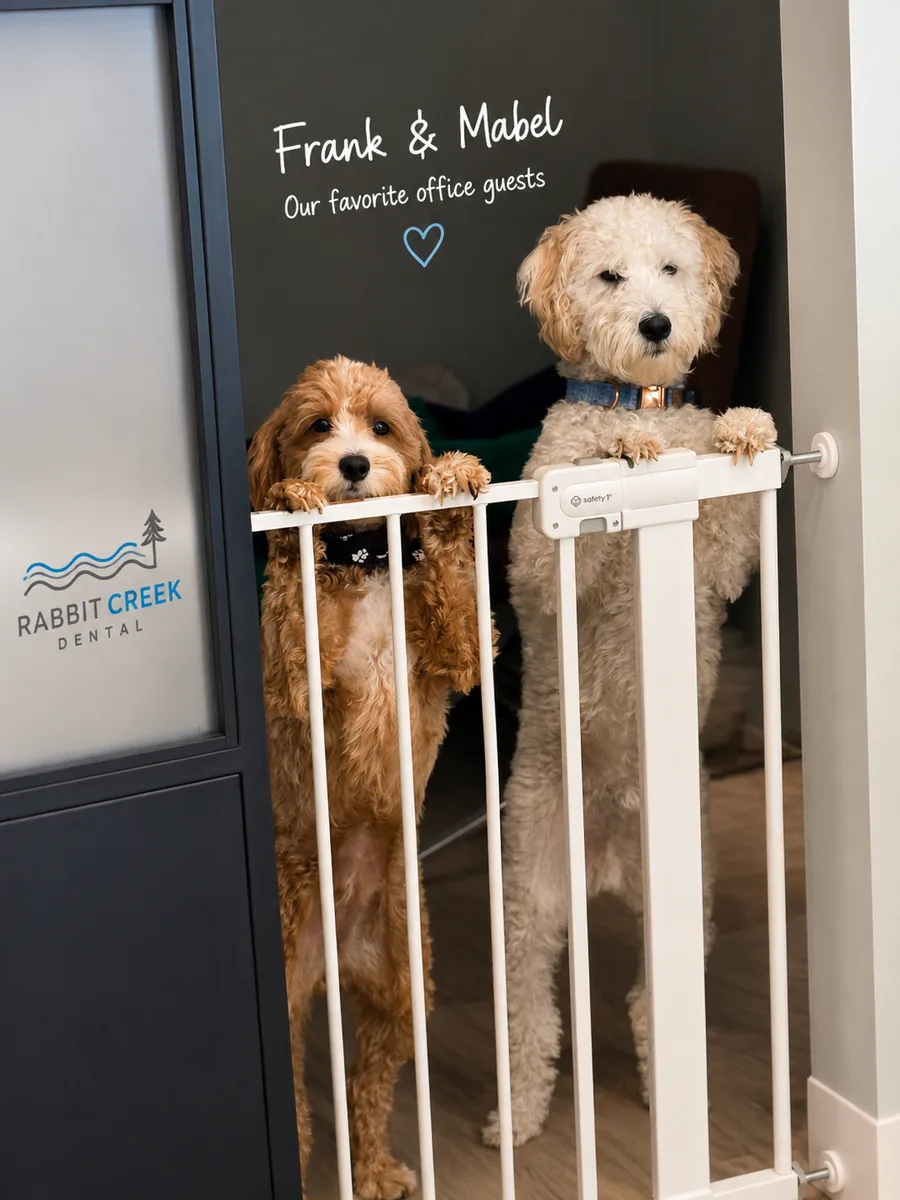 Frank and Mabel the office dogs at Rabbit Creek Dental in Mobile Alabama
